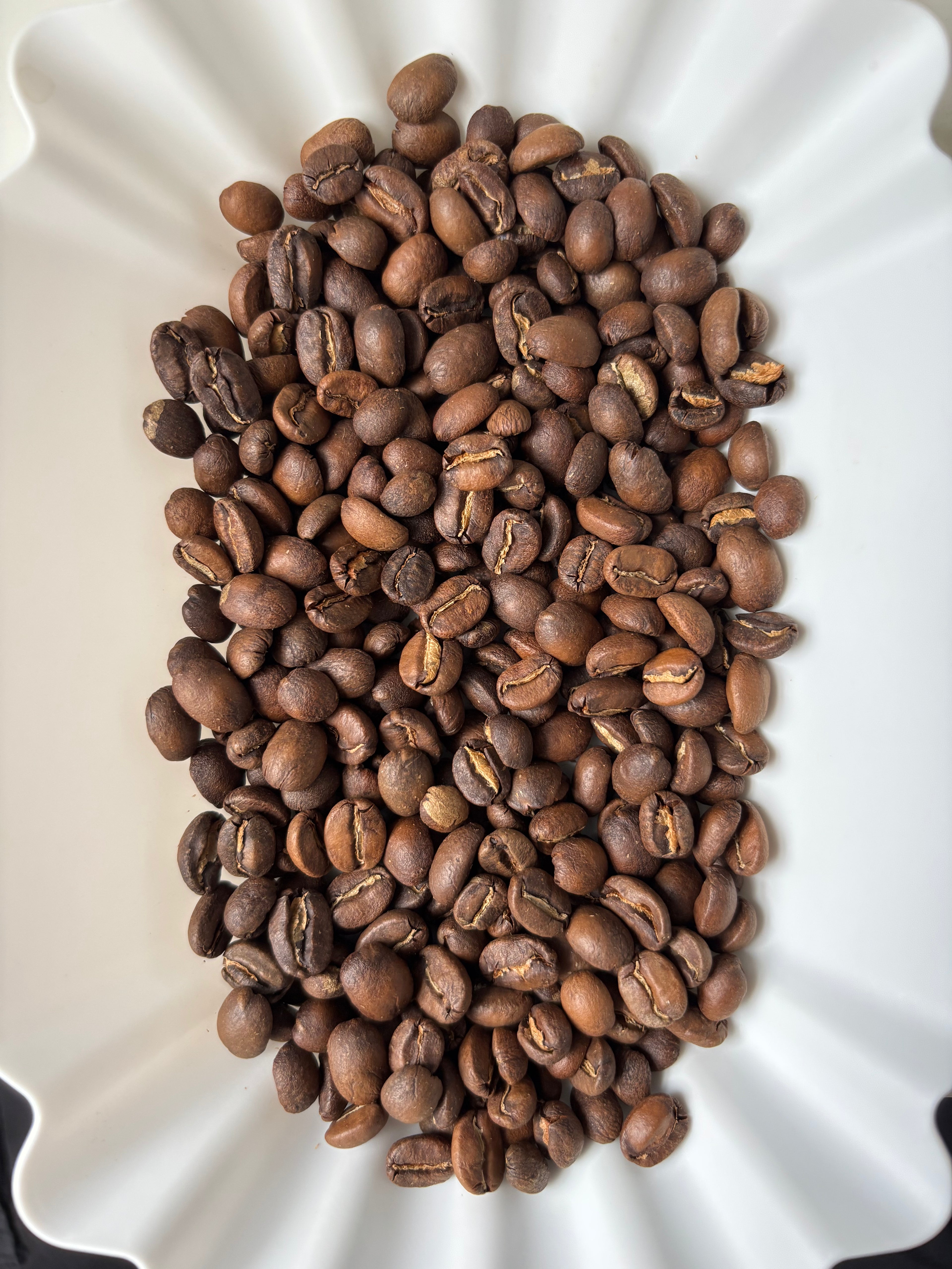 AFTERNOON BERRIES - Timor Leste Washed Typica