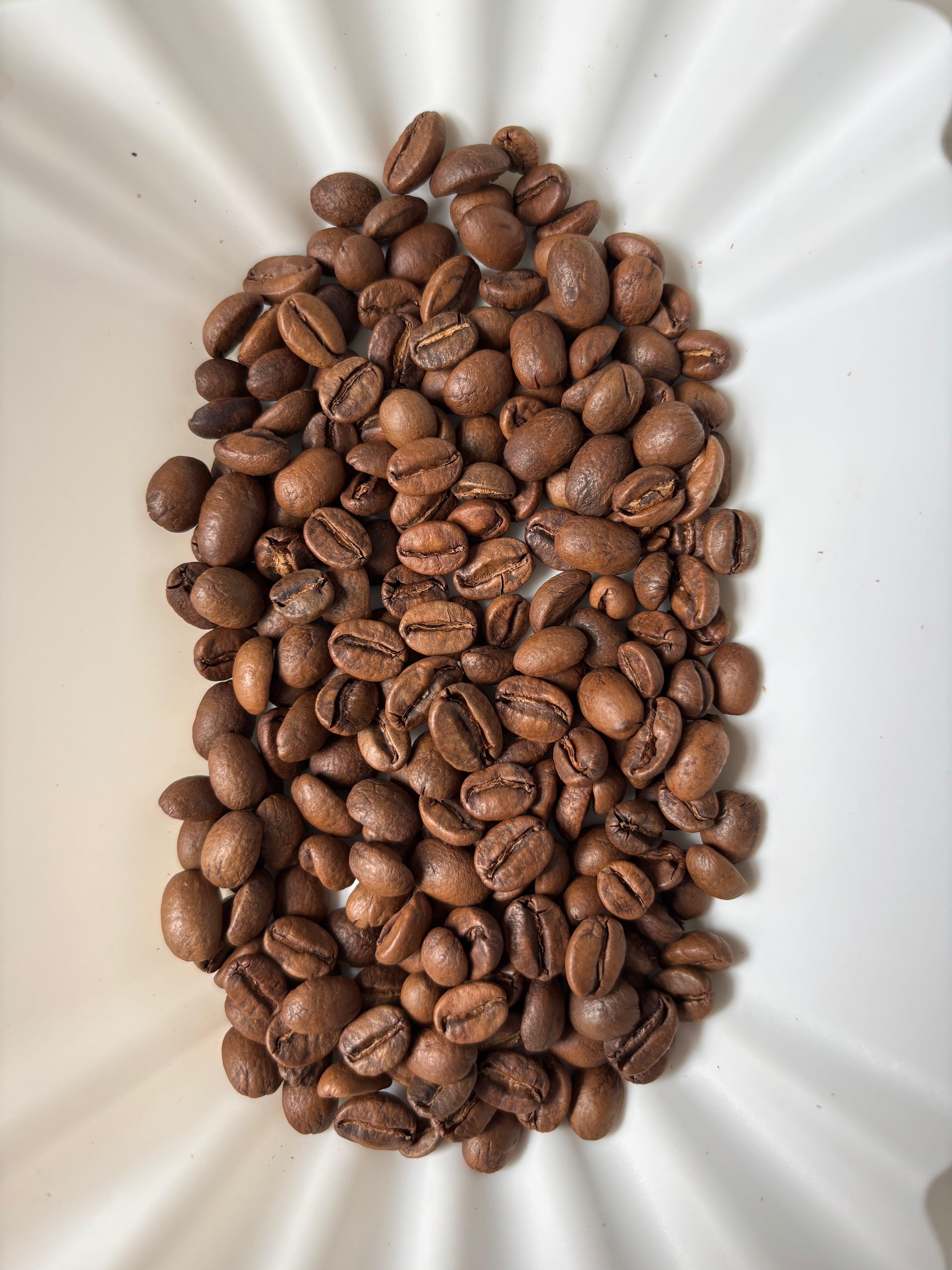 HONEYSUCKLE DEW - Timor Leste Thermal Shock Honey Typica