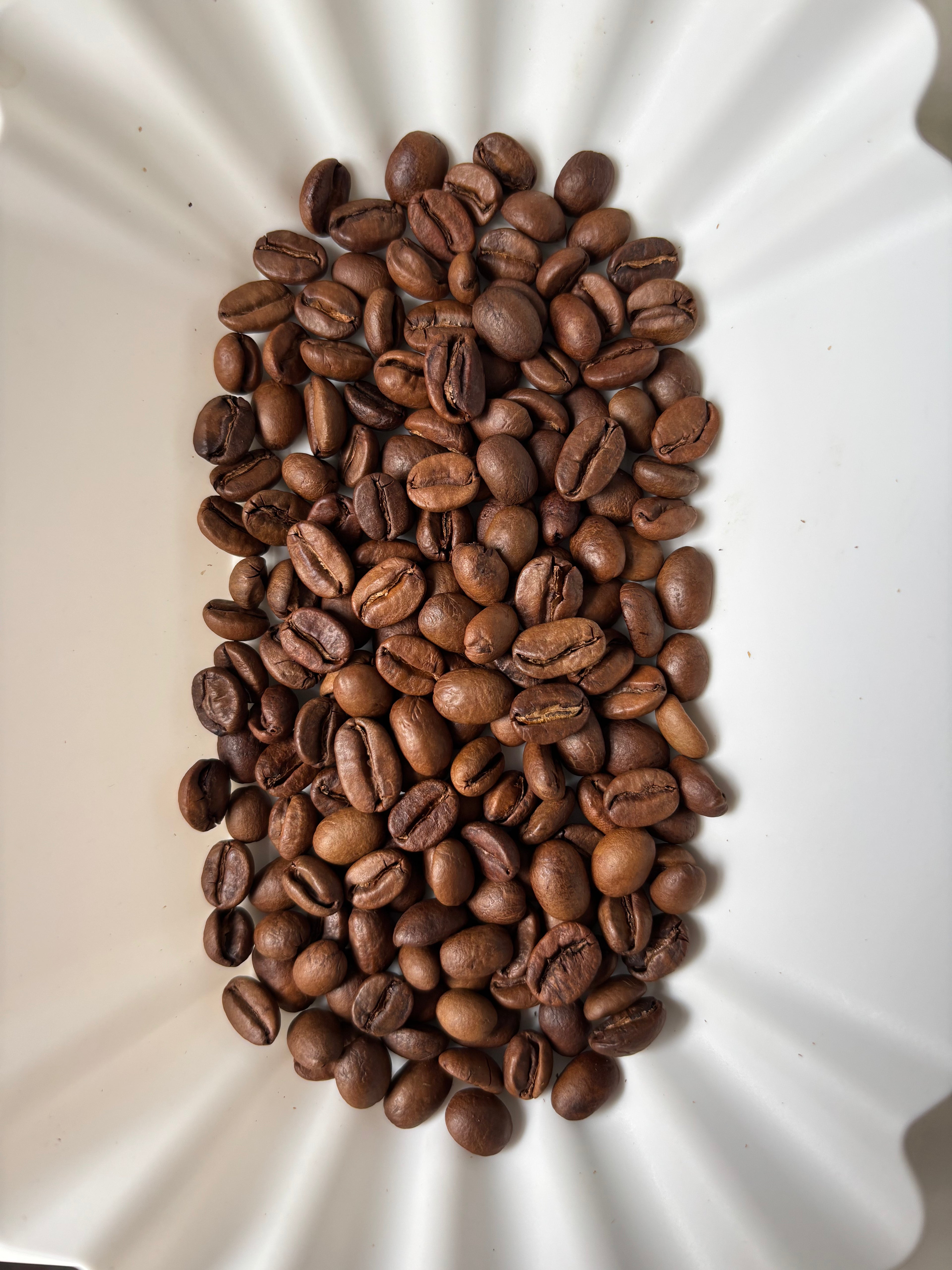 PURPLE SANGRIA - Timor Leste Natural Typica